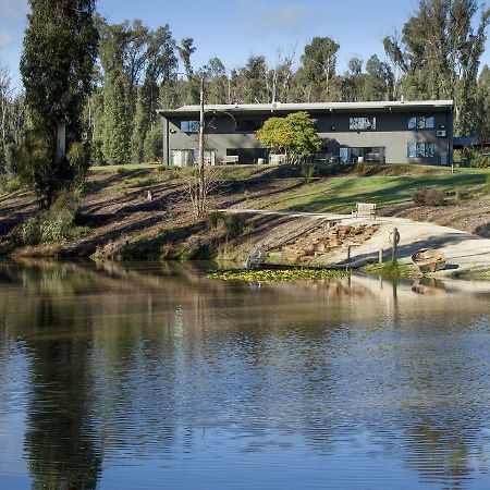 Saladin Lodge Narbethong Exteriér fotografie