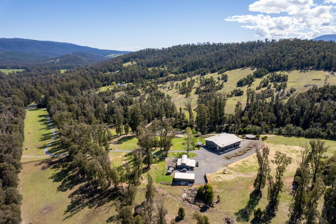 Saladin Lodge Narbethong Exteriér fotografie