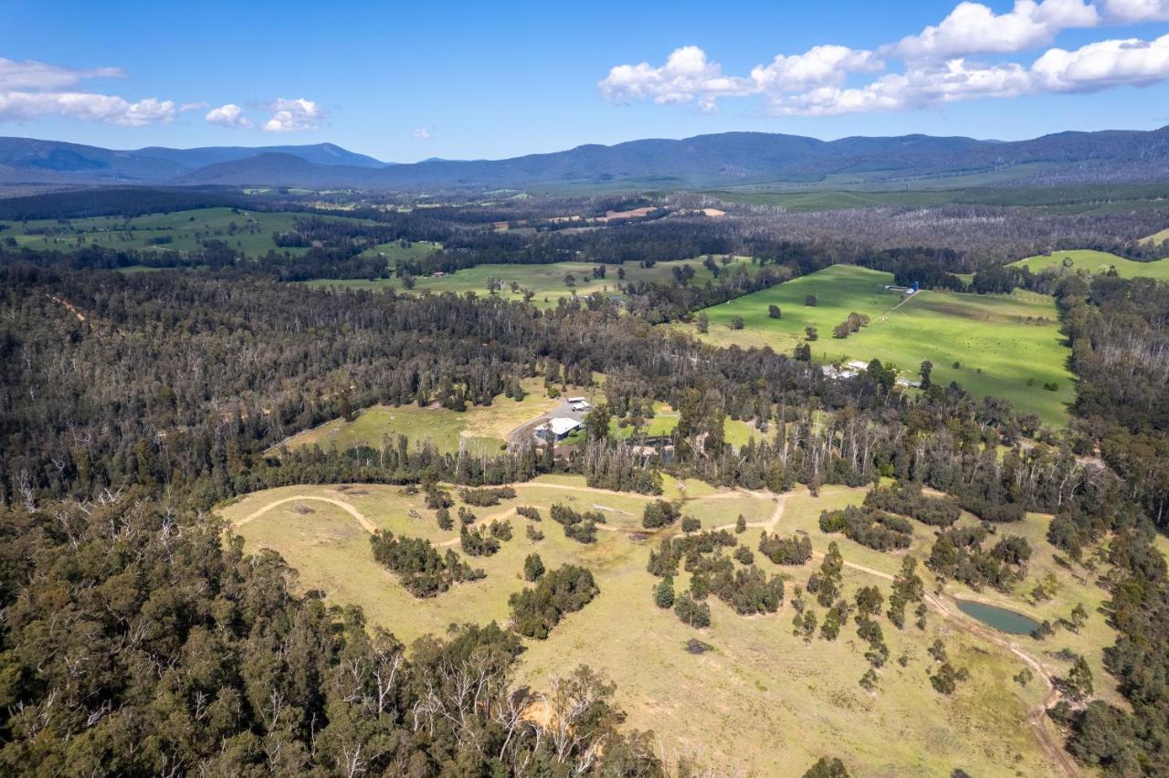 Saladin Lodge Narbethong Exteriér fotografie