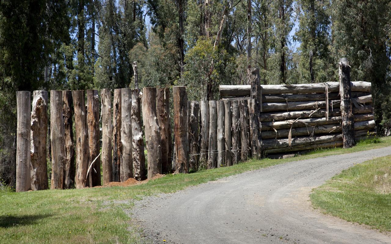 Saladin Lodge Narbethong Exteriér fotografie