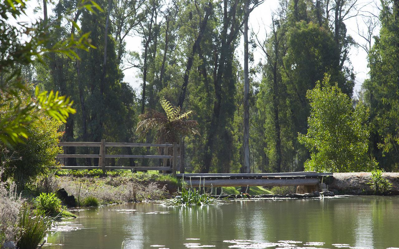 Saladin Lodge Narbethong Exteriér fotografie