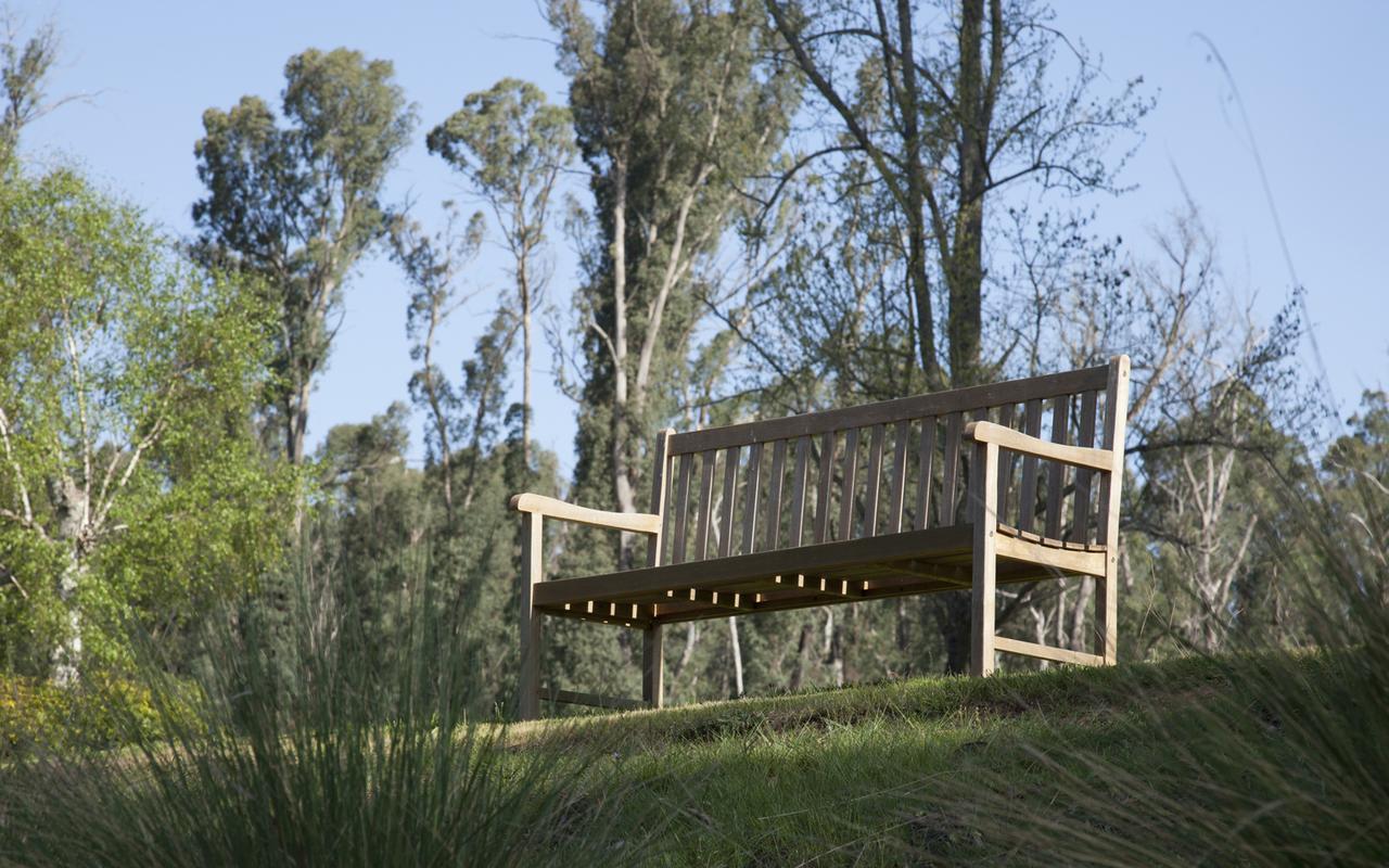 Saladin Lodge Narbethong Exteriér fotografie