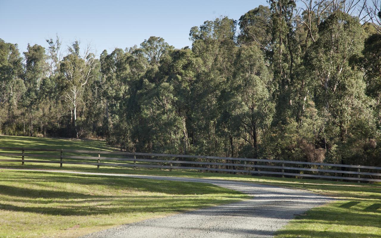 Saladin Lodge Narbethong Exteriér fotografie