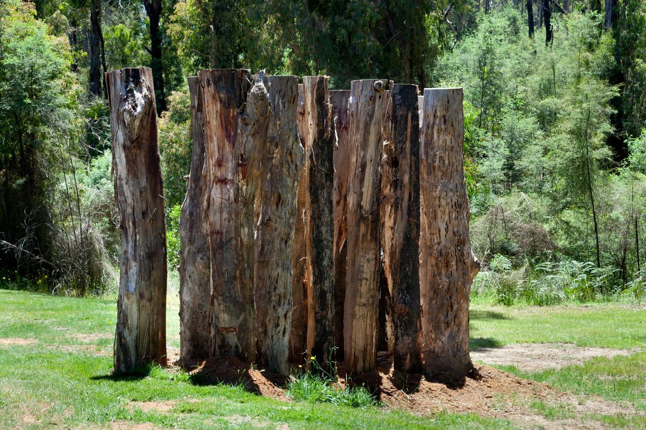 Saladin Lodge Narbethong Exteriér fotografie