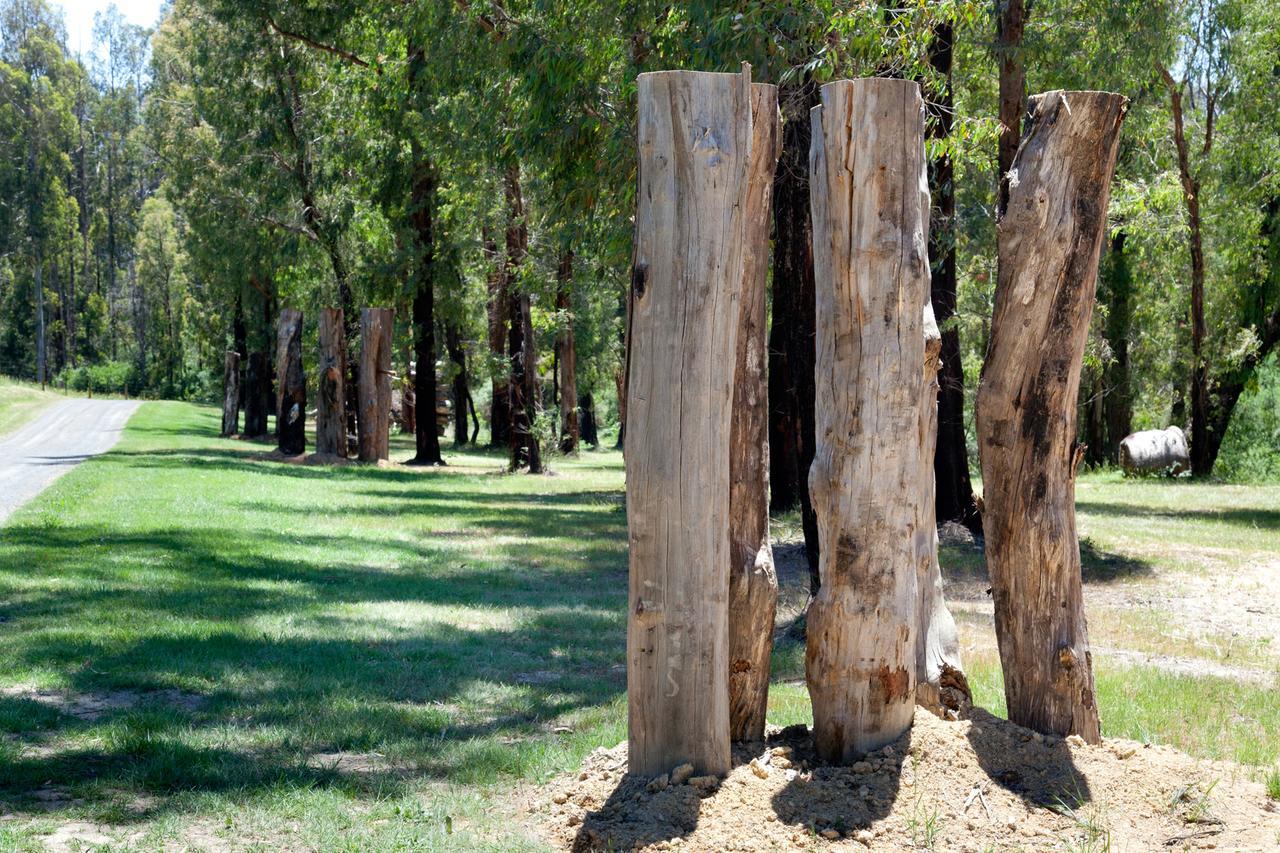 Saladin Lodge Narbethong Exteriér fotografie